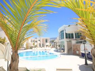 Flamingo suite boutique hotel