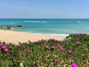 Familieplezier aan de Adriatische Zee ???? Bungalow of Mobile Home op een camping met zwembad & nabij het strand in Porto Recanati, Itali&euml;