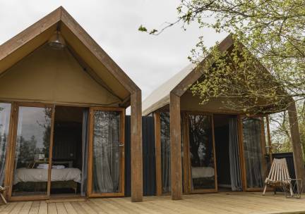 Pingo Suite | 4 Pers.