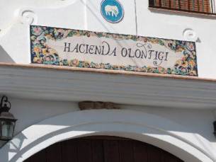 Hacienda Olontigi