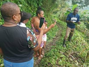 Tour durch Jamaikas Blue Mountains mit Besuch einer Kaffeeplantage
