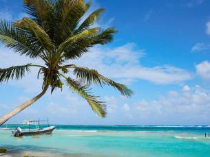 Luxe cruise: Caribbean & Antillen met droombestemmingen: Bahama's & Mexico o.b.v. volpension of all-inclusive!