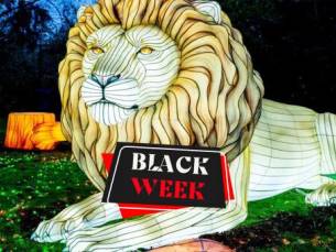 Pure ontspanning: jouw vakantie op de Lüneburger Heide