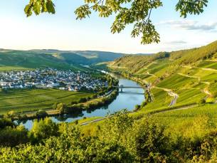 Verblijf in een B&B in het wijndorpje Ediger-Eller tussen Cochem en Trier incl. ontbijt & wandelkaart + GRATIS gebruik OV + parkeren!