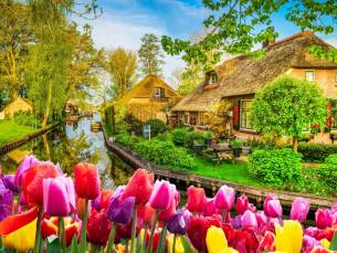 4*-Flechter hotel in de bosrijke omgeving van Giethoorn, Overijssel incl. ontbijt en Giethoorn rondvaart!