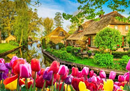 4*-Flechter hotel in de bosrijke omgeving van Giethoorn, Overijssel incl. ontbijt en Giethoorn rondvaart!