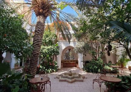 Riad Ifoulki