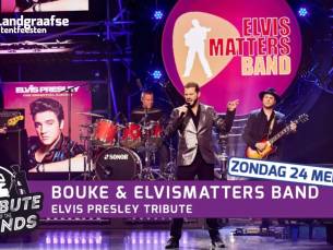 Toegang Tribute Of The Bands bij De Landgraafse Tentfeesten