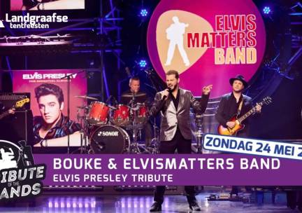 Toegang Tribute Of The Bands bij De Landgraafse Tentfeesten