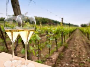 Geniet tijdens een 6-daagse Prosecco Tour ???? door Veneto, Itali&euml; in een 4*-hotel incl. ontbijt, 13-gangendiner, 1lunch en 5 wijnproeverijen!