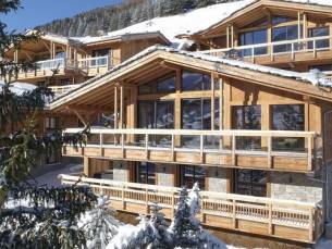 Chalet La Panth&egrave;re des Neiges