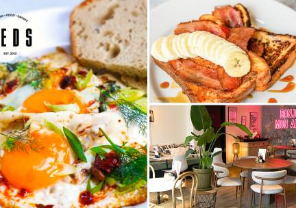 Brunch- lunchgerecht naar keuze bij Teds Breda Botanique