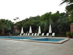 Palm Court Suites
