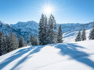 Geniet van een verblijf in de prachtige natuur van Beieren en verblijf in een hotel met wellness incl. ontbijt, middagsnack, diner en meer!