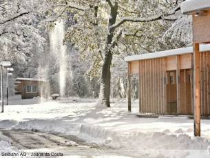 Camping Dornbirn & Apartments