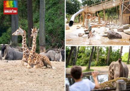 Entree Burgers' Zoo