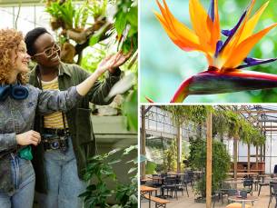 Entree Hortus Botanicus van de TU Delft