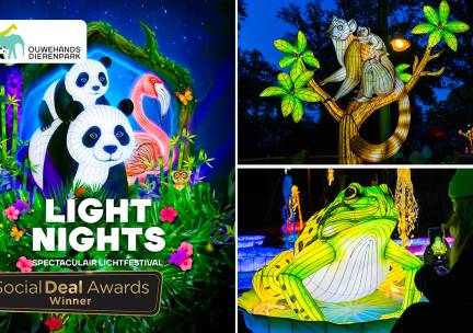 Entree Light Nights in Ouwehands Dierenpark