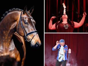 Entree Paarden Circus Tetam