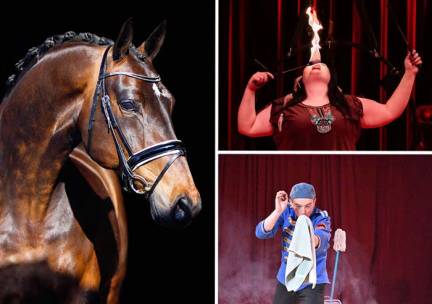 Entree Paarden Circus Tetam