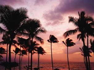 Islandhopping Hawaii Oahu & Maui
