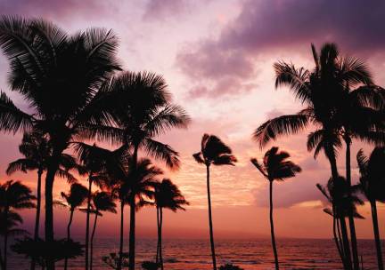 Islandhopping Hawaii Oahu & Maui
