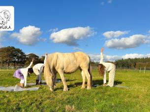 Paardenyoga-sessie (45 min)
