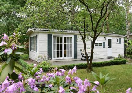 Bospark Doornspijk heerlijk chalet