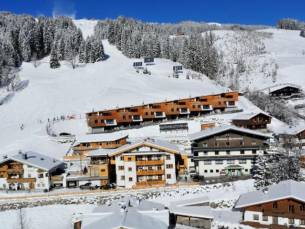 Chalet Bachgut Berg