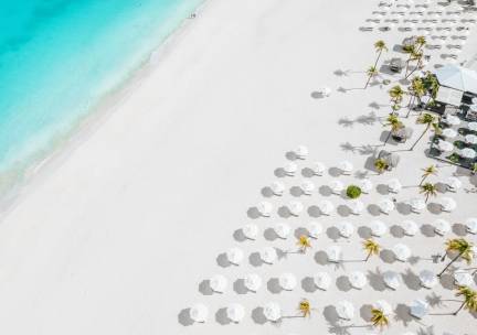 Bucuti & Tara Beach Resort