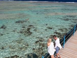 Three Corners Happy Life