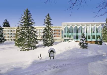 Interhotel Montana