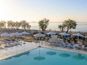 Domes Aulus Zante, Autograph Collection