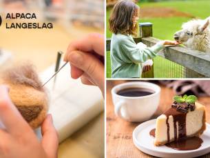 Workshop alpacawol vilten (3 uur) + drankjes + hapjes + meet & greet met alpaca's