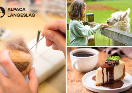 Workshop alpacawol vilten (3 uur) + drankjes + hapjes + meet & greet met alpaca's