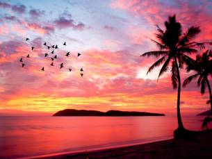 Kuala Lumpur, Penang en Langkawi