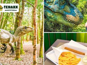 Entree, evt. + snackmenu bij Dinopark & Landgoed Tenaxx
