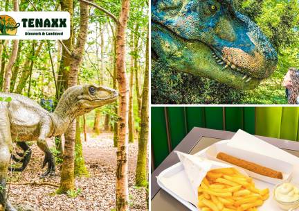 Entree, evt. + snackmenu bij Dinopark & Landgoed Tenaxx