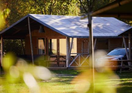 Rheezerlodge