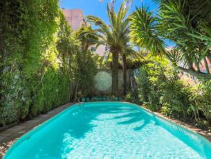 Jungle Art Le Windsor