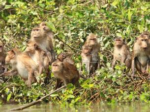 Bangkok, Khao Yai en Koh Samet