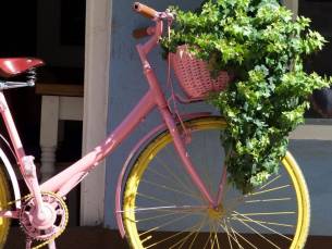 Fietsen vanuit de Cotswolds naar Windsor