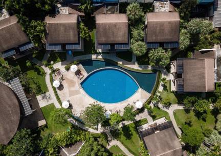 The Leaf on the Sands