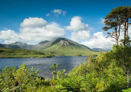 Ierland, 40 tinten groen