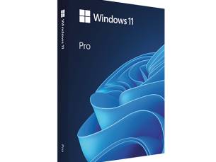 Windows 11 Pro incl. Trainingen