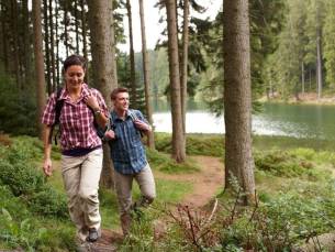 Geniet o.b.v. all-inclusive light in een hotel met wellness in het betoverende Harzgebergte + GRATIS parkeren!
