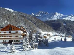 Hotel Alpenhof