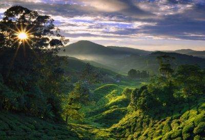 Highlights West-Maleisi&euml;