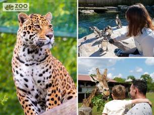 Entree Zoo d'Amn&eacute;ville