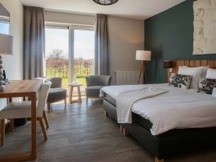 Tweepersoons kamer Deluxe met terras - Douche/toilet